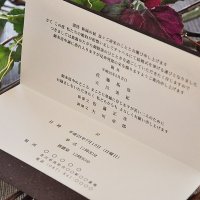 画像1: 【ビアール結婚式招待状 お徳用30セット印刷込み 送料無料】ウエディングペーパーアイテム 洋風