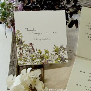 画像1: ナチュール 結婚式招待状(印刷別) (1)